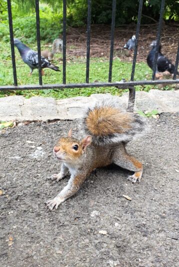 WhatsApp Image 2025-02-10 at 23.11.12