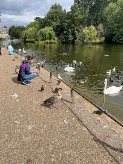 WhatsApp Image 2025-02-10 at 23.11.54