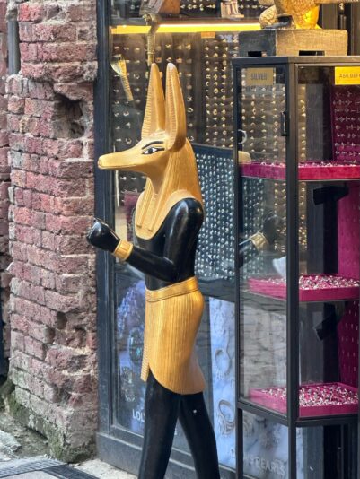 WhatsApp Image 2025-02-18 at 20.24.37